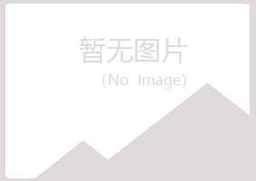 天峻县沙砾建设有限公司